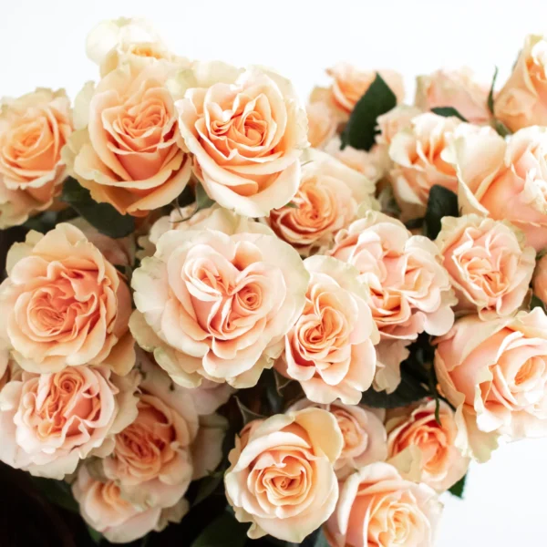 Roses Bouquets - Image 4